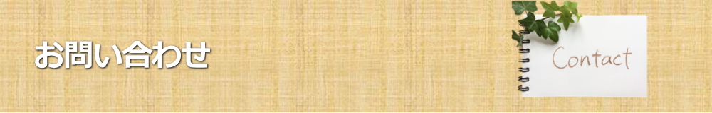 兵庫県トランポリンクラブ　選手・育成クラス　アドバンスNextクラス